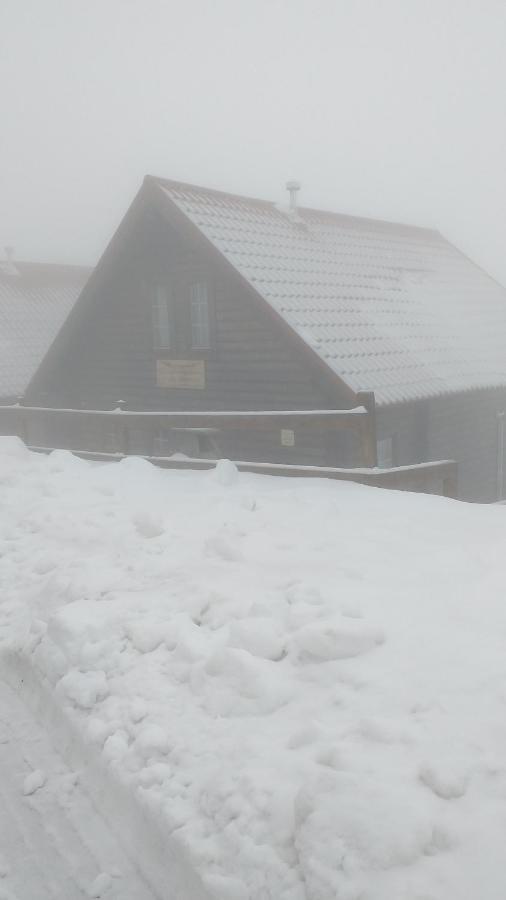 Вилла Refugio Trilhos E Cumes Ковильян Экстерьер фото